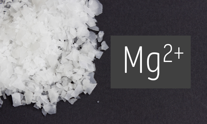 Magnex Magnesium